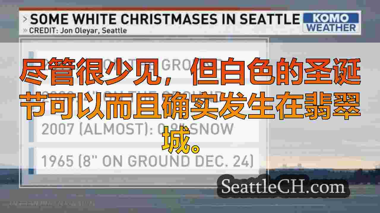 西雅图新闻 SeattleCH