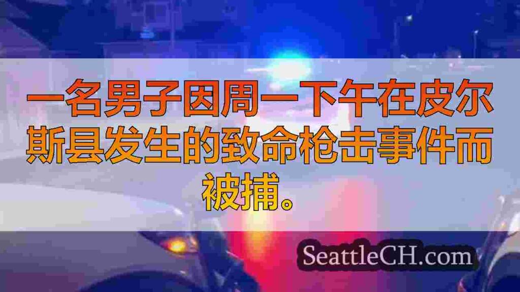 随着调查的展开，嫌疑人在皮尔斯县致命枪击事件被捕