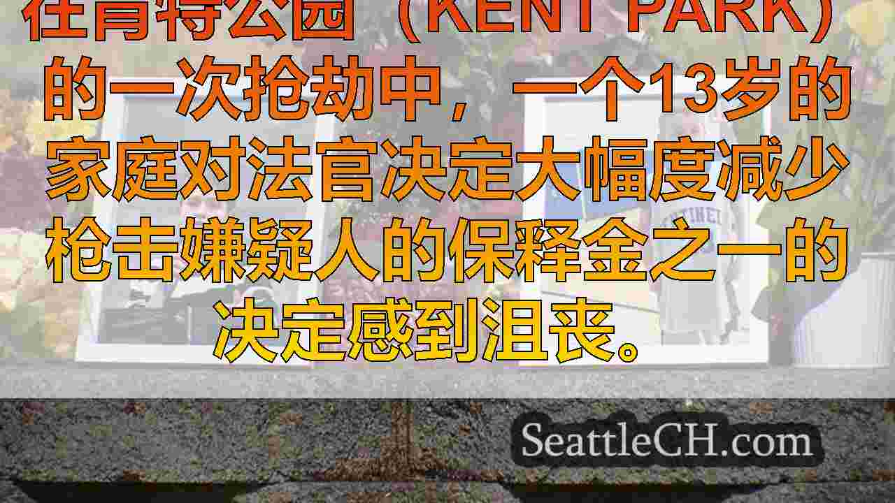 西雅图新闻 SeattleCH