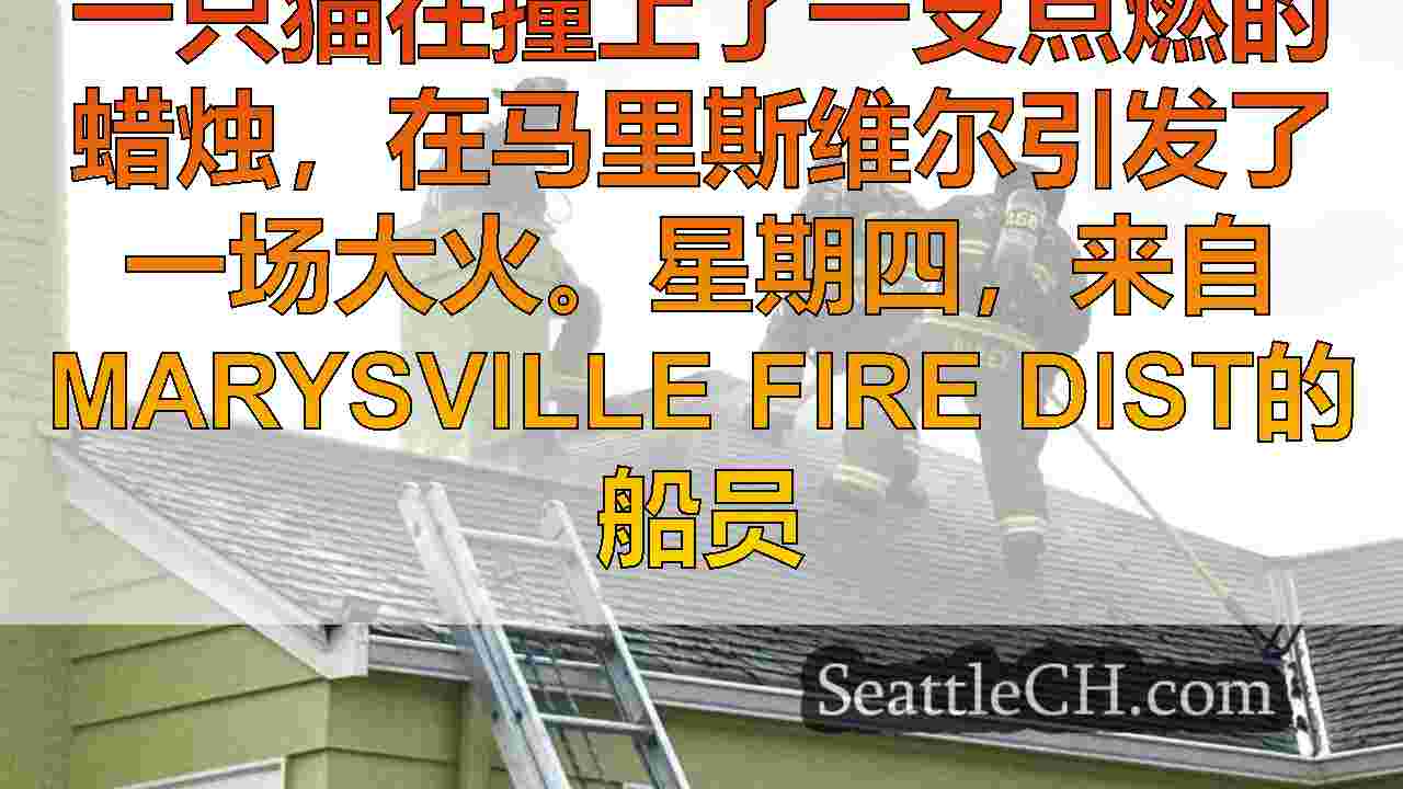 猫敲蜡烛，发动了玛丽斯维尔房屋大火，将所有者送往医院
