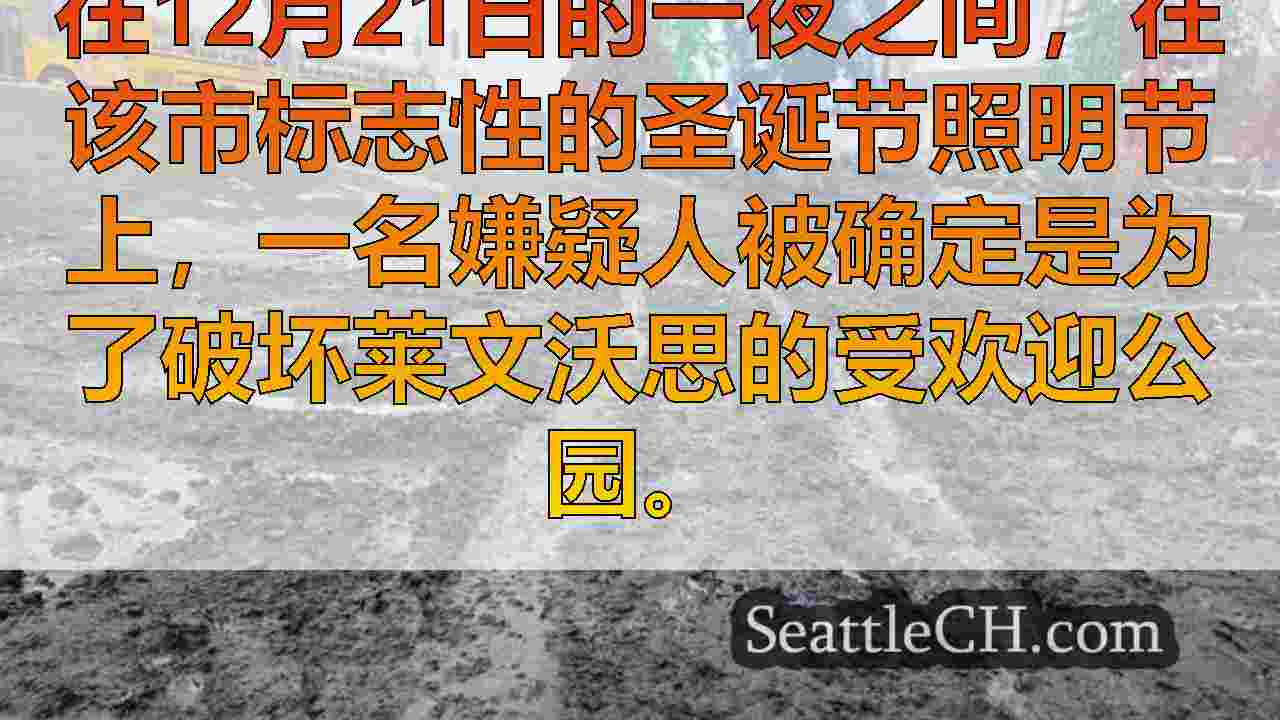 西雅图新闻 SeattleCH