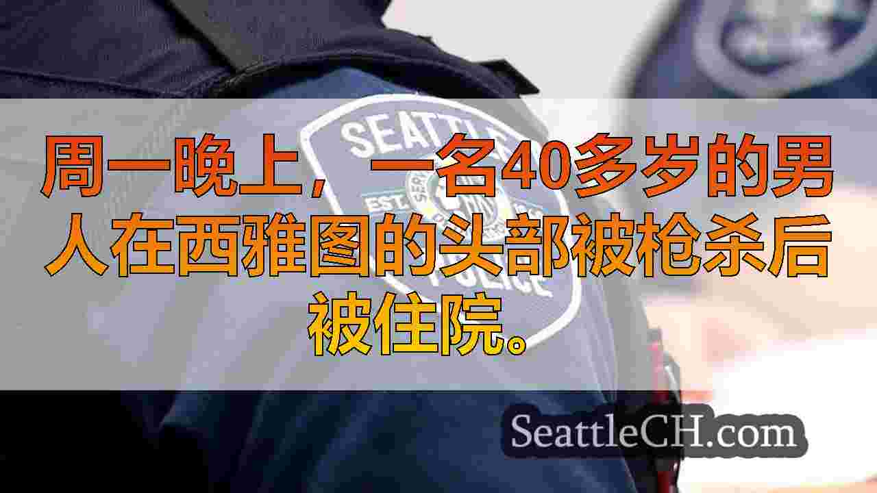 在西雅图的头部被枪杀后，处于危急状态