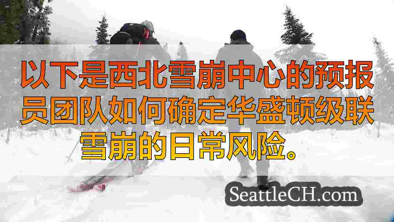 雪崩预测解释了：专家如何评估级联的雪稳定性