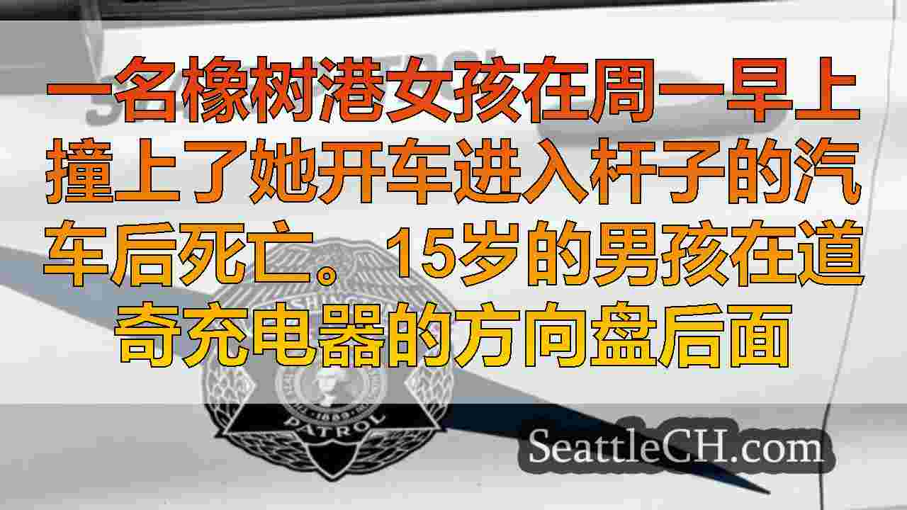 年轻女孩在高速撞车中被杀死
