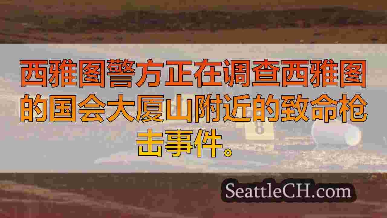 在西雅图的国会大厦山发生致命枪击事件后正在进行的调查