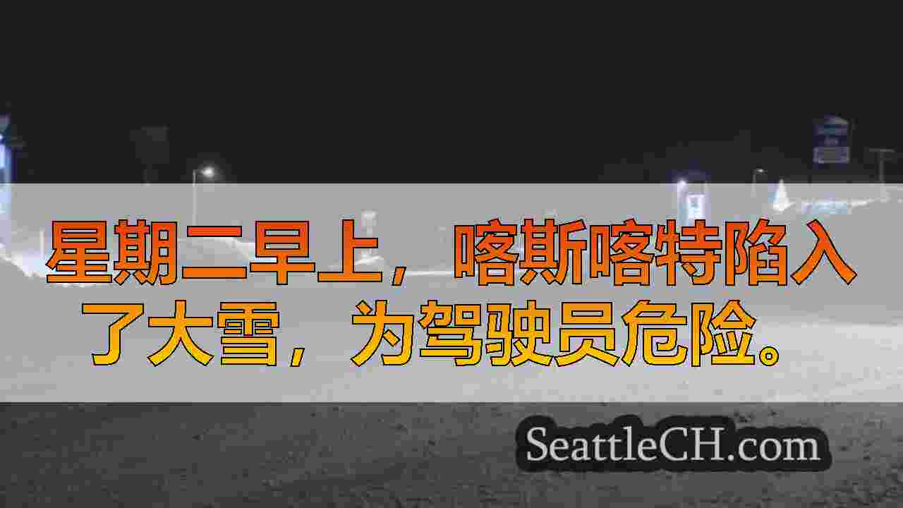 西雅图新闻 SeattleCH