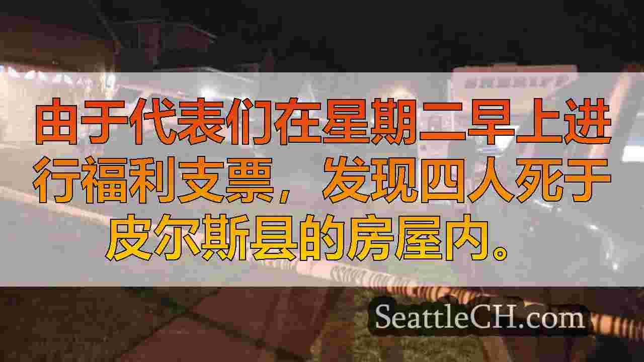 西雅图新闻 SeattleCH