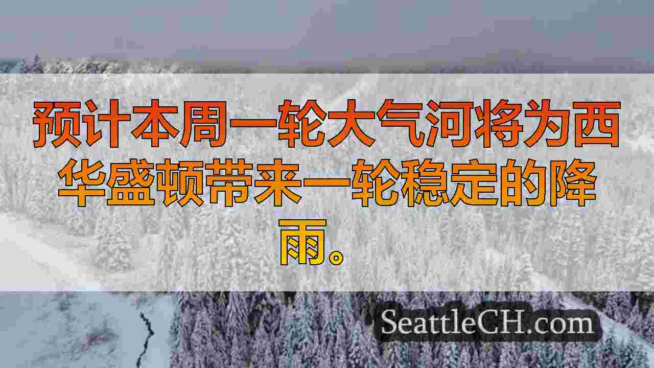 西雅图新闻 SeattleCH