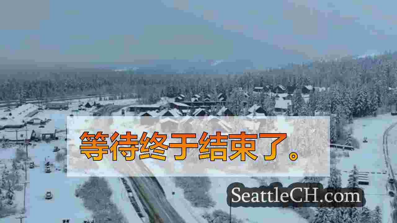西雅图新闻 SeattleCH
