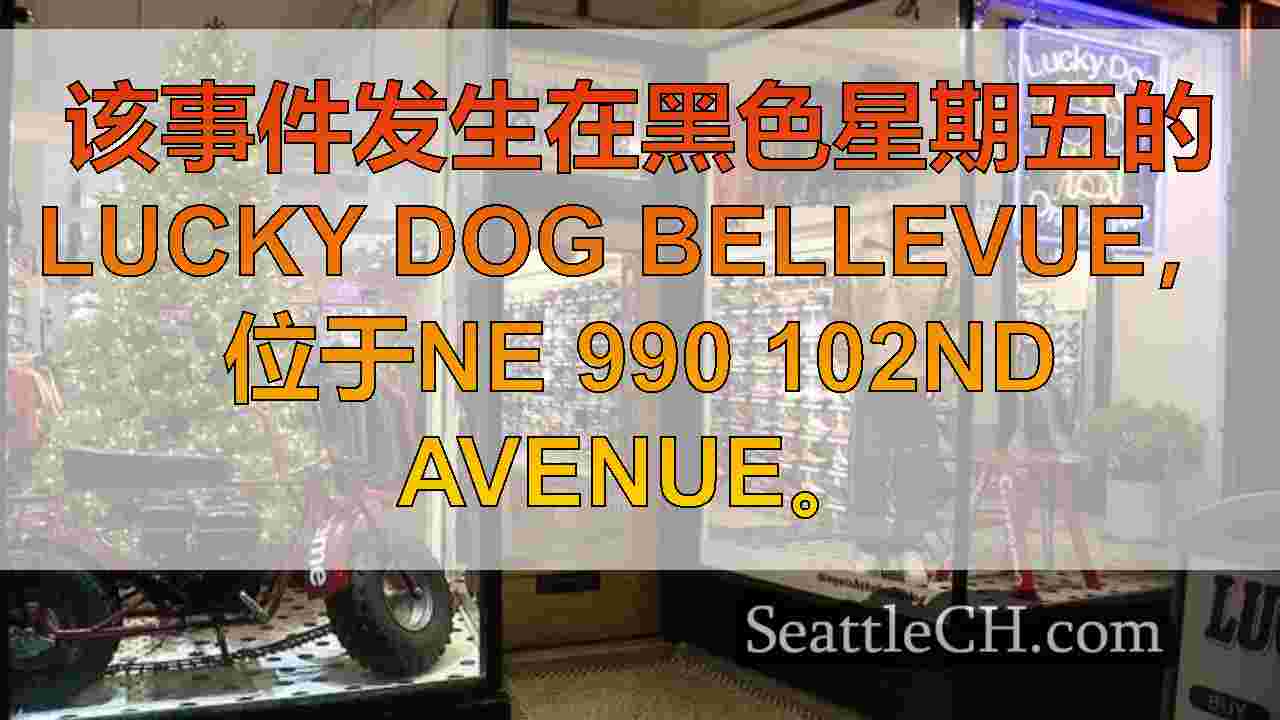 西雅图新闻 SeattleCH