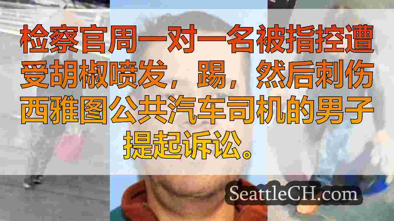 在西雅图地铁公交车司机的致命刺伤中被控谋杀的人
