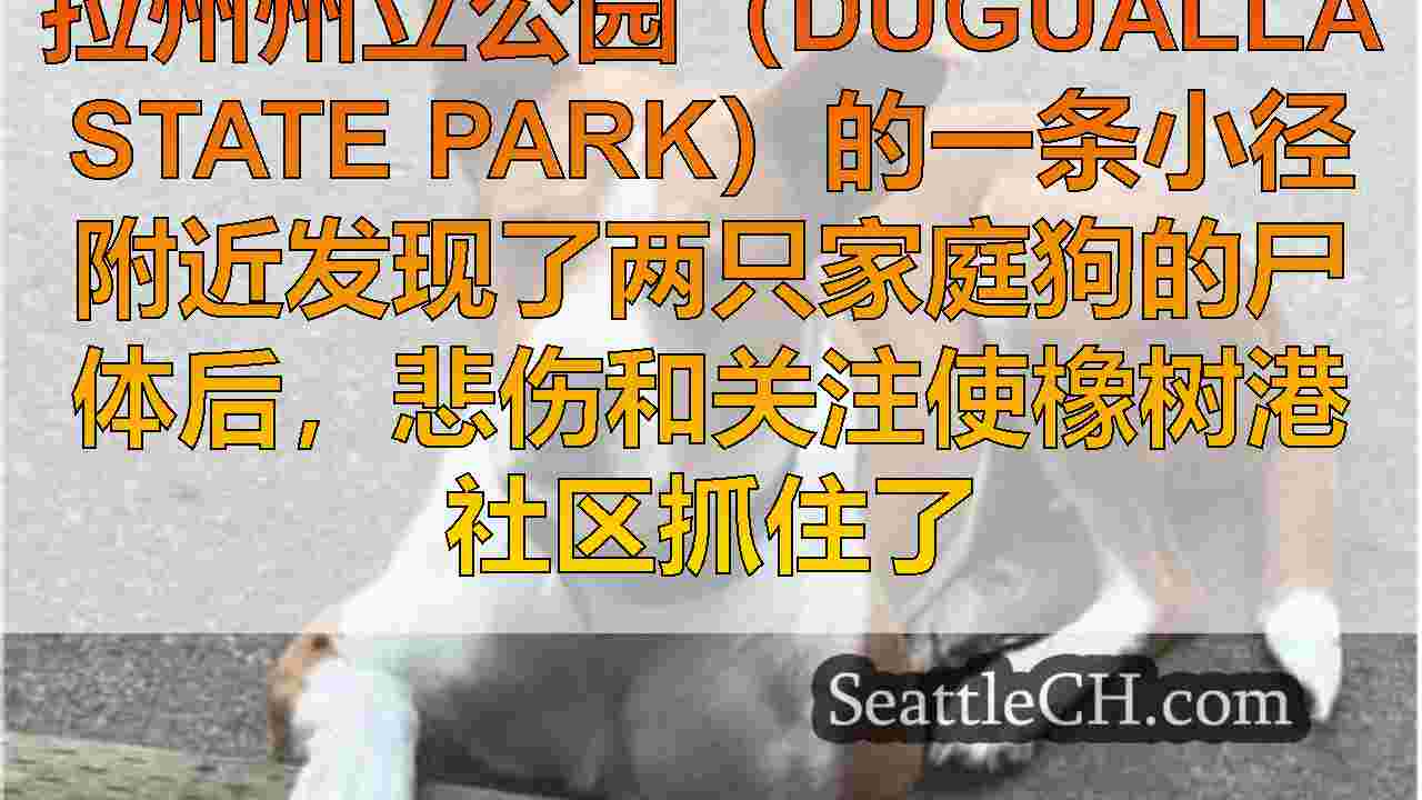 西雅图新闻 SeattleCH