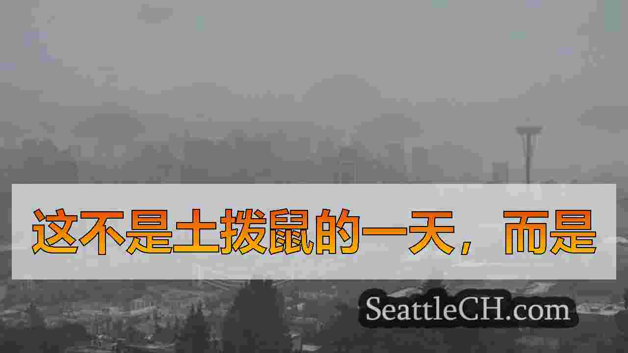 西雅图新闻 SeattleCH