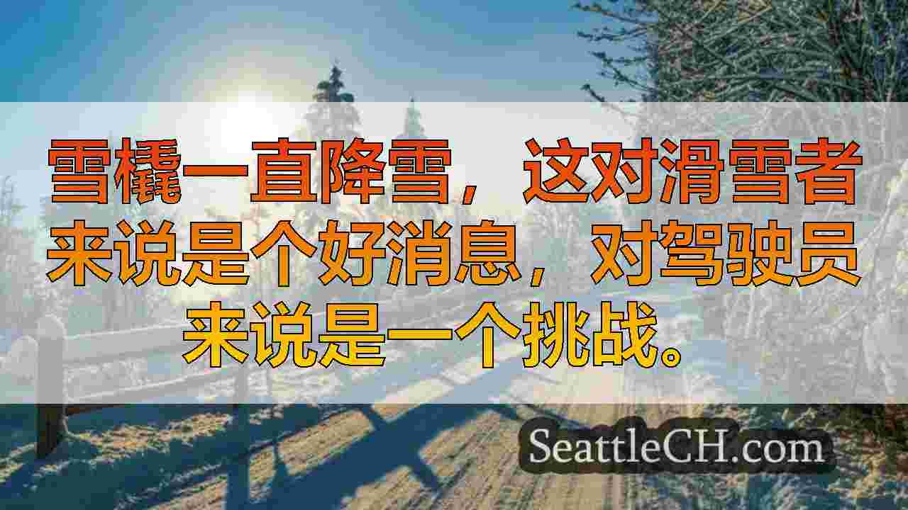 西雅图新闻 SeattleCH