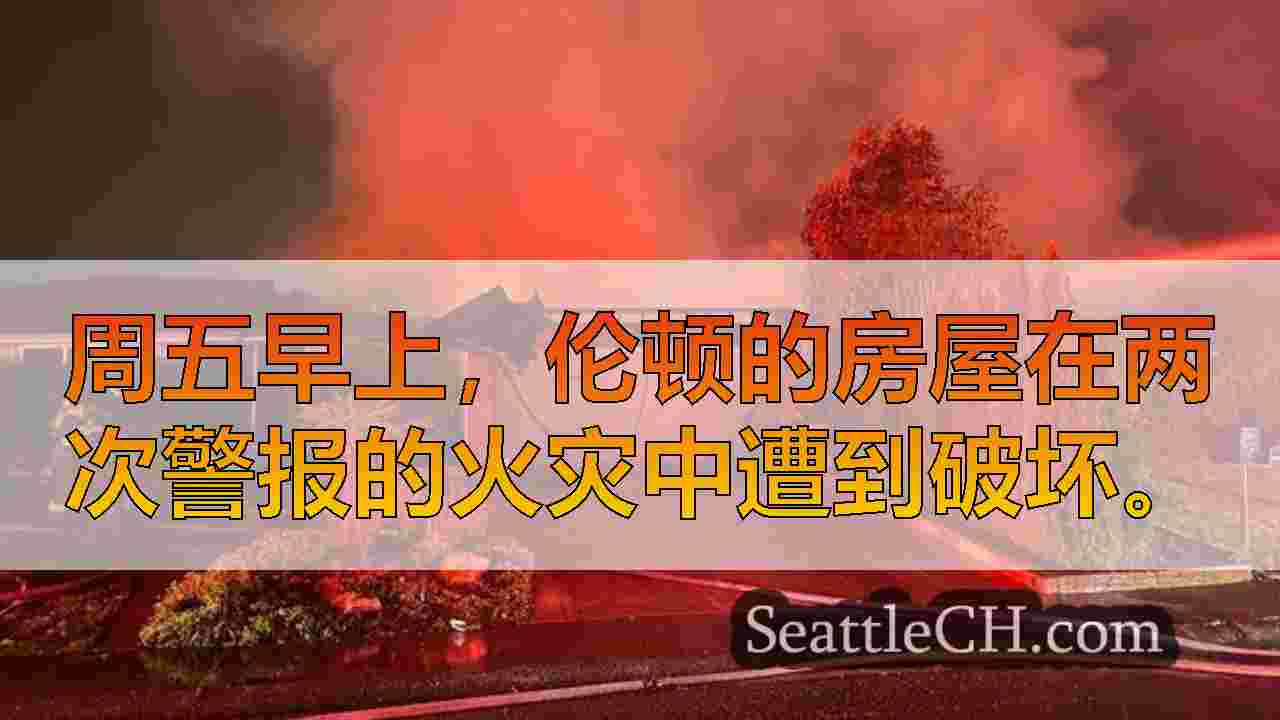 西雅图新闻 SeattleCH