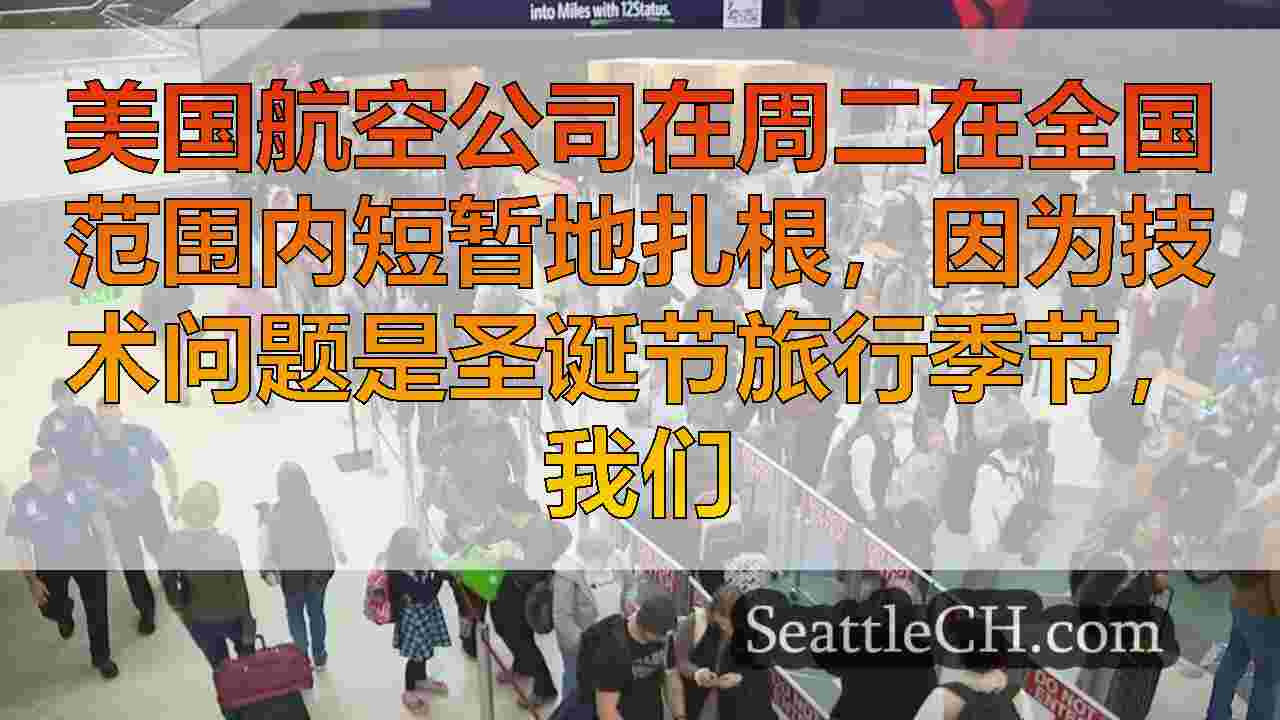 在美国航空公司短暂地磨合所有航班之后