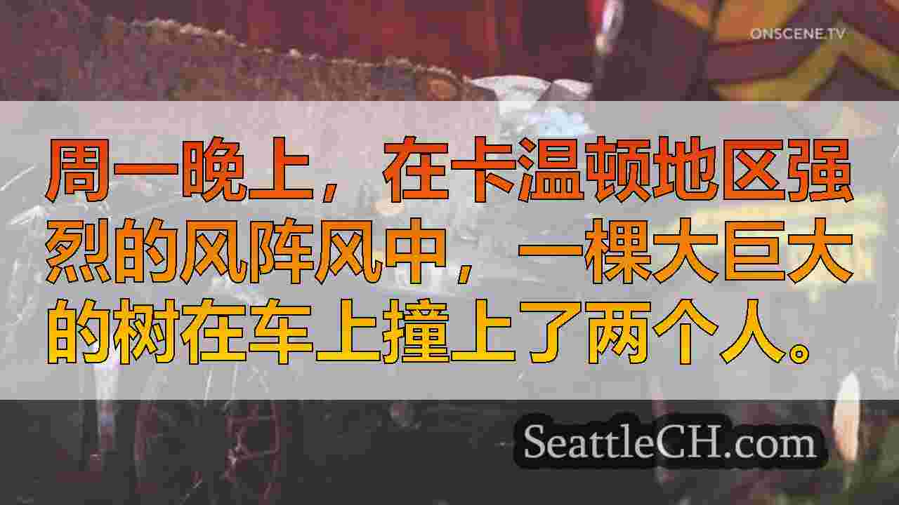 西雅图新闻 SeattleCH