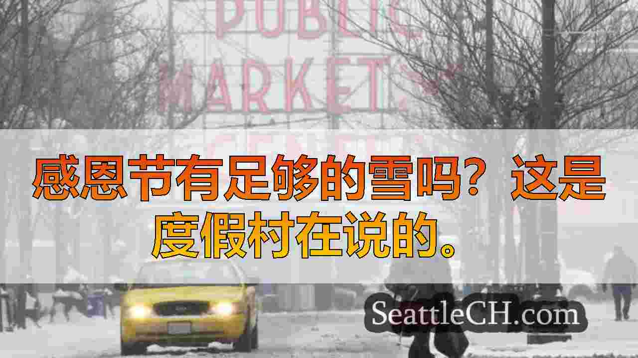 今年在西雅图下雪吗？这是我们所知道的
