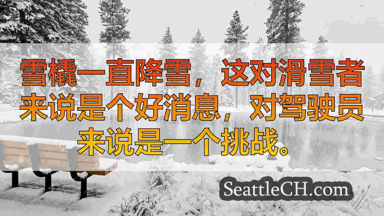 最新的冬季预测增加了华盛顿西部低地降雪的机会