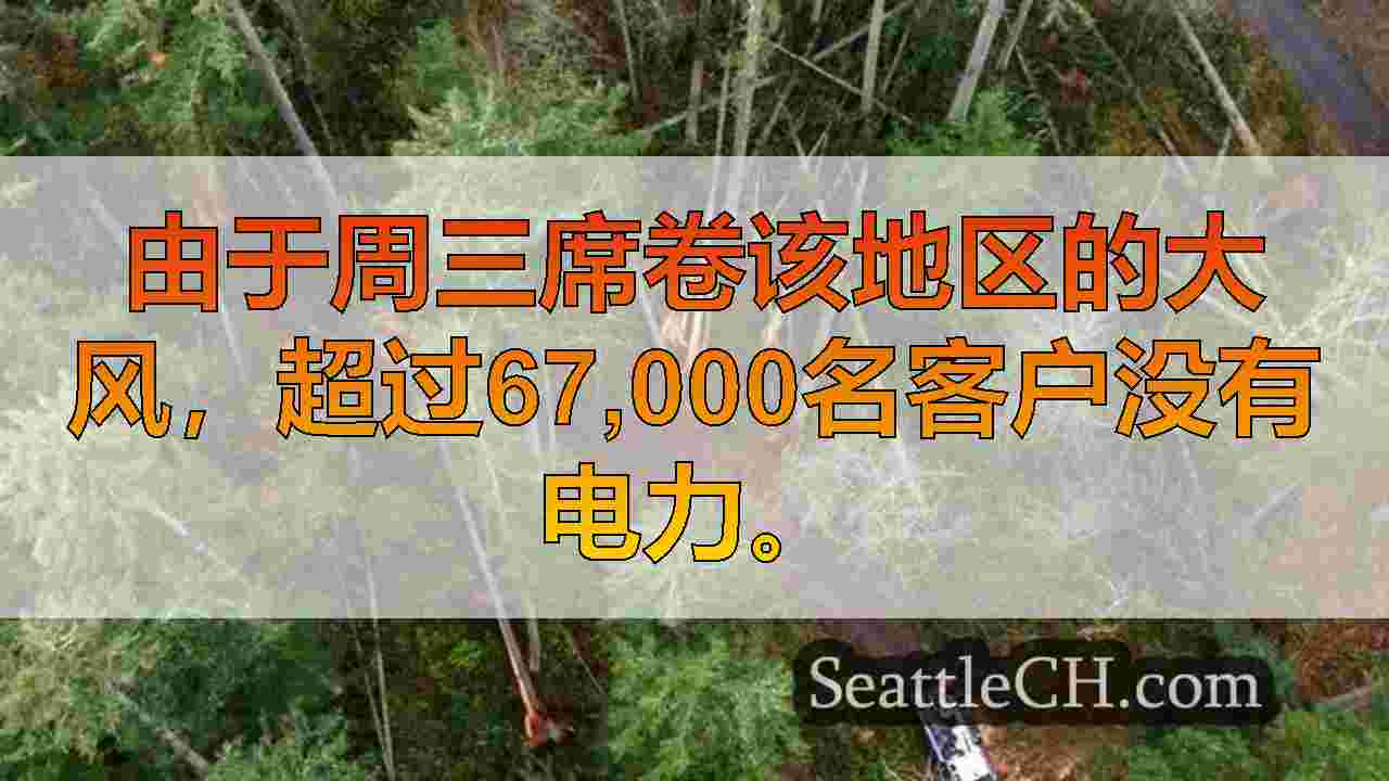 西雅图新闻 SeattleCH