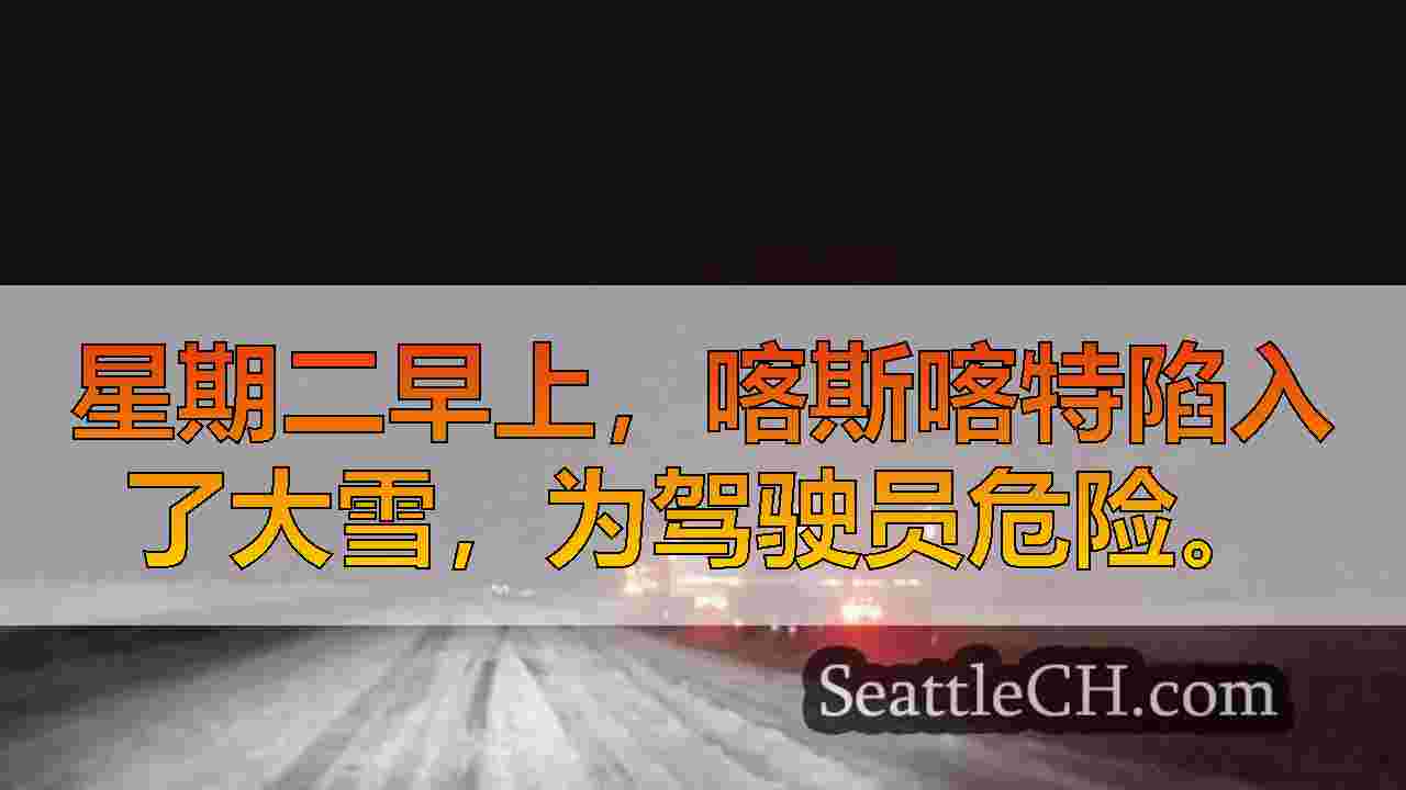 在大雪，雪崩危险的情况下，通过驾驶员的险恶旅行危险