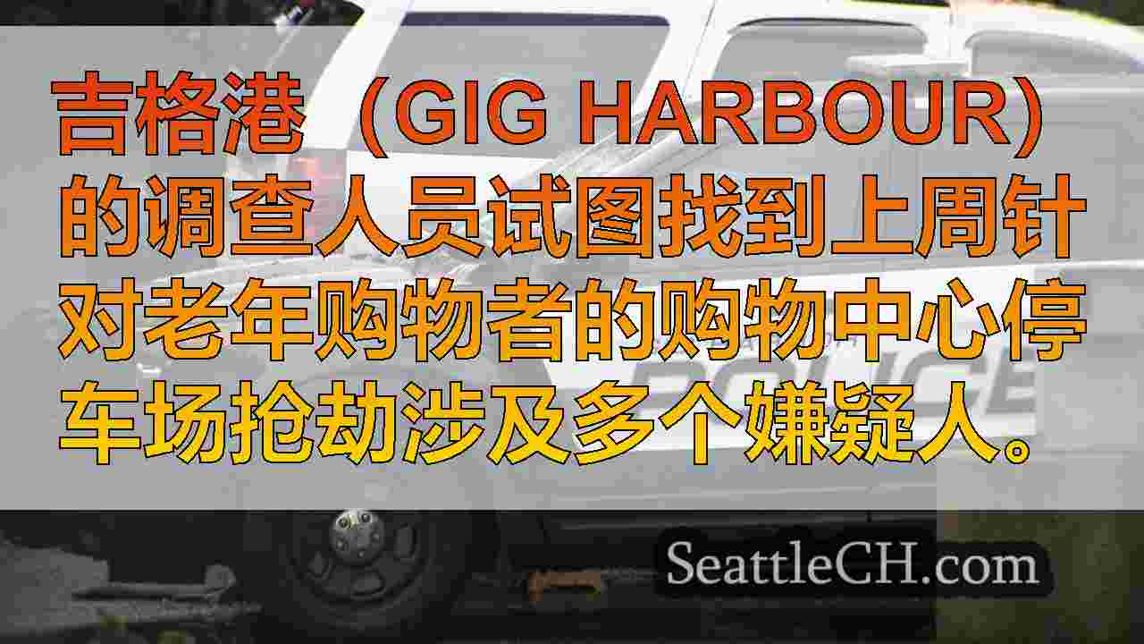 吉格港警察调查针对老年人的一连串停车场抢劫