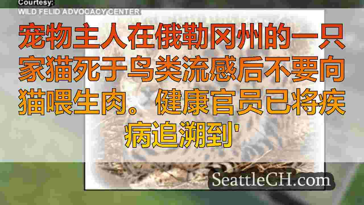 西雅图新闻 SeattleCH