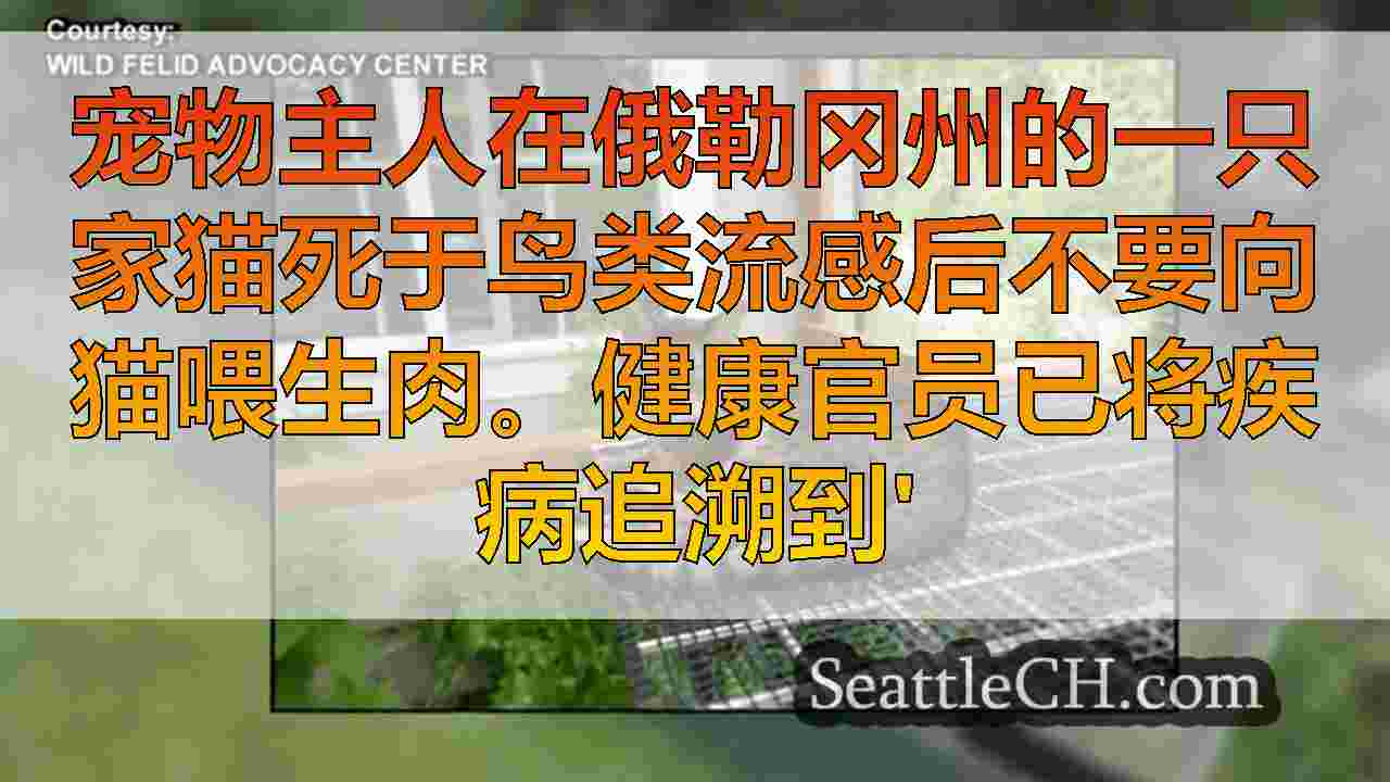 猫死与鸟流感有关提示警告要喂生肉给猫科动物