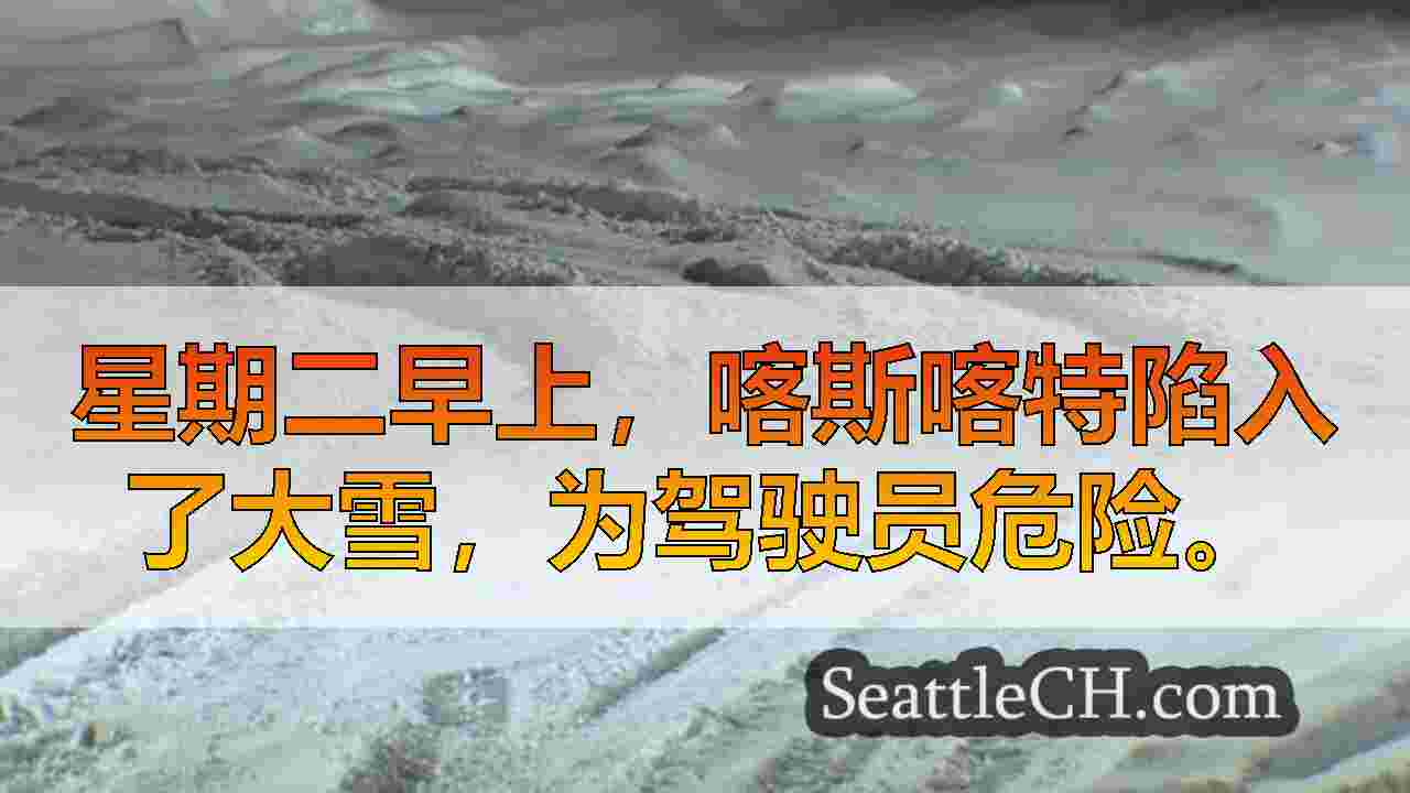 西雅图新闻 SeattleCH