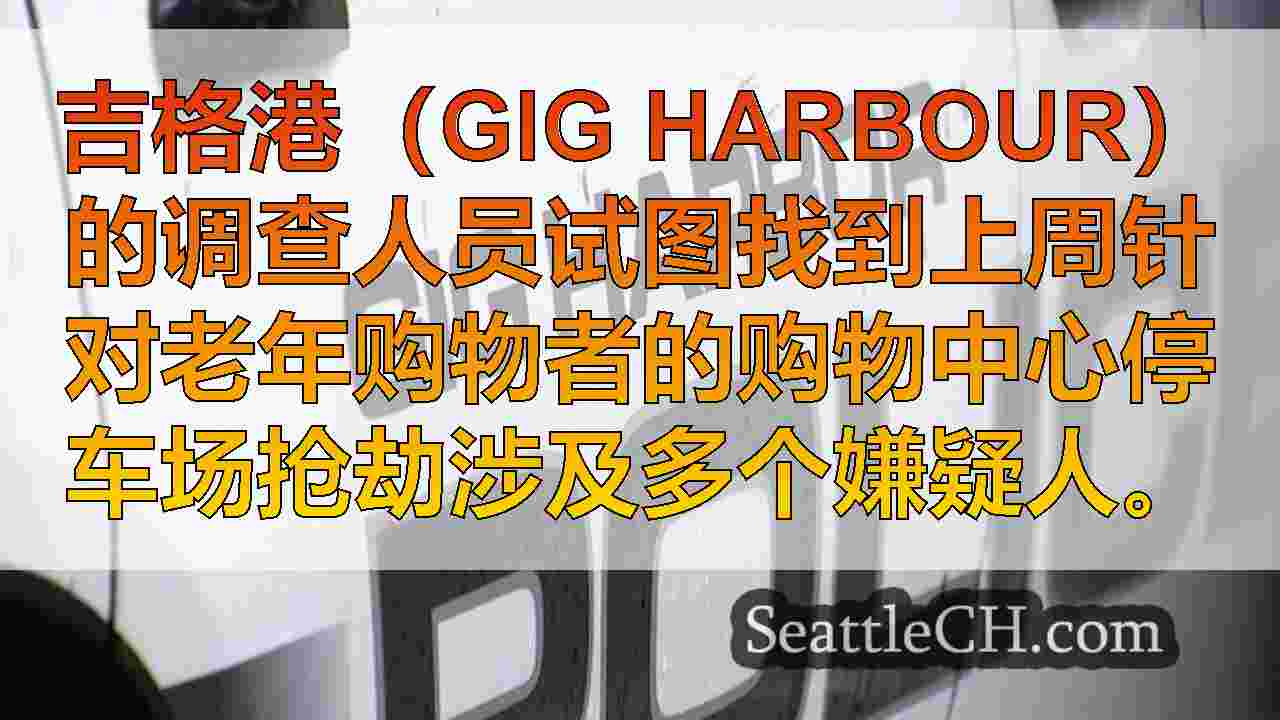 西雅图新闻 SeattleCH