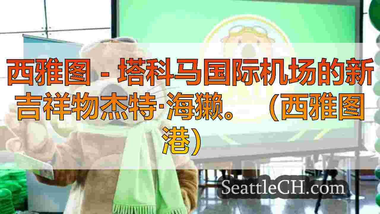 认识捷德：海上机场的新吉祥物