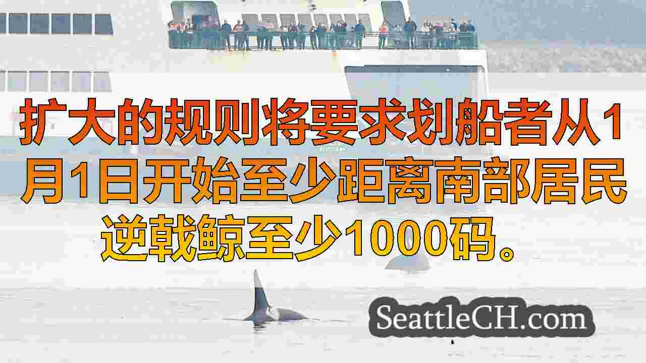 新法律要求划船者距离南部居民逆戟鲸1000码处