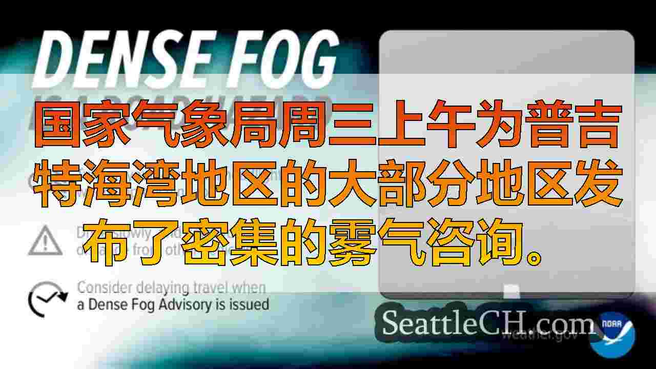 西雅图新闻 SeattleCH