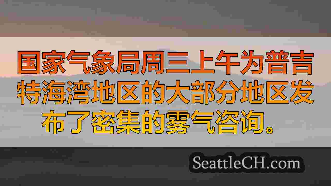 西雅图新闻 SeattleCH