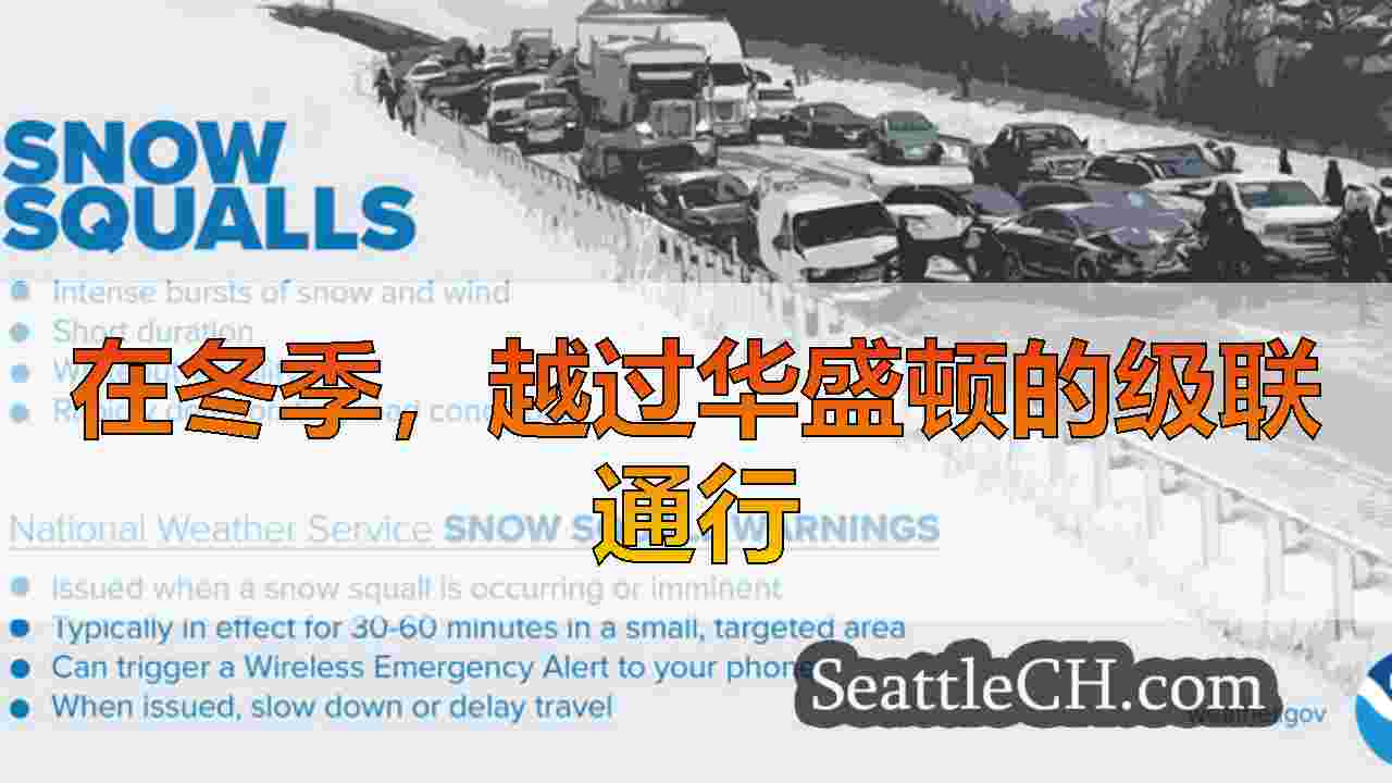 西雅图新闻 SeattleCH