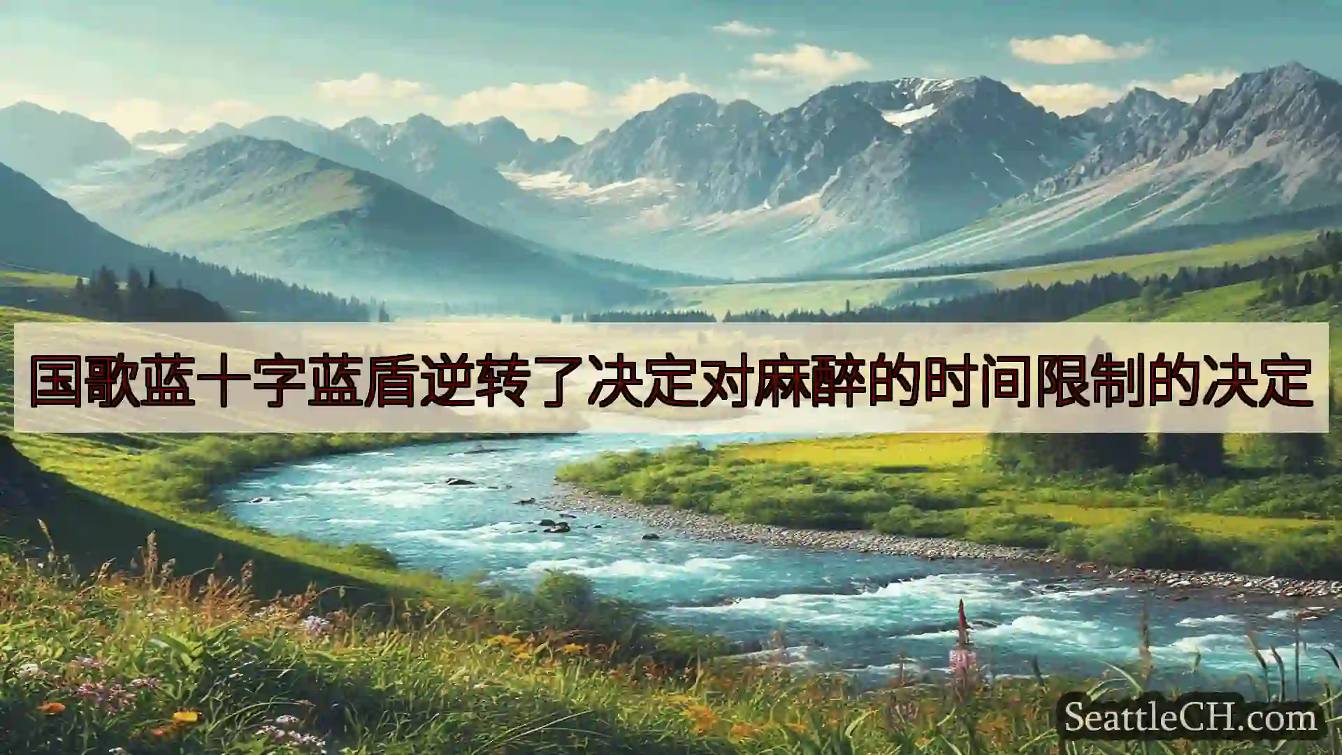 西雅图新闻 国歌蓝十字蓝盾逆转了决定对麻醉的时间限制的决定