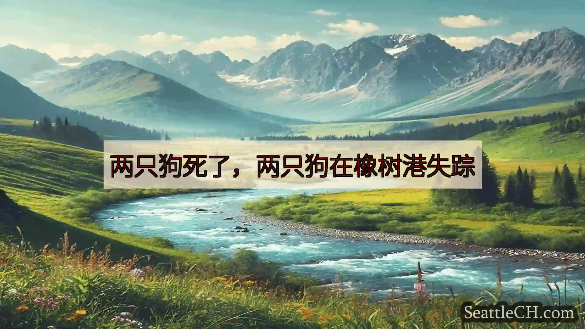 西雅图新闻 两只狗死了，两只狗在橡树港失踪