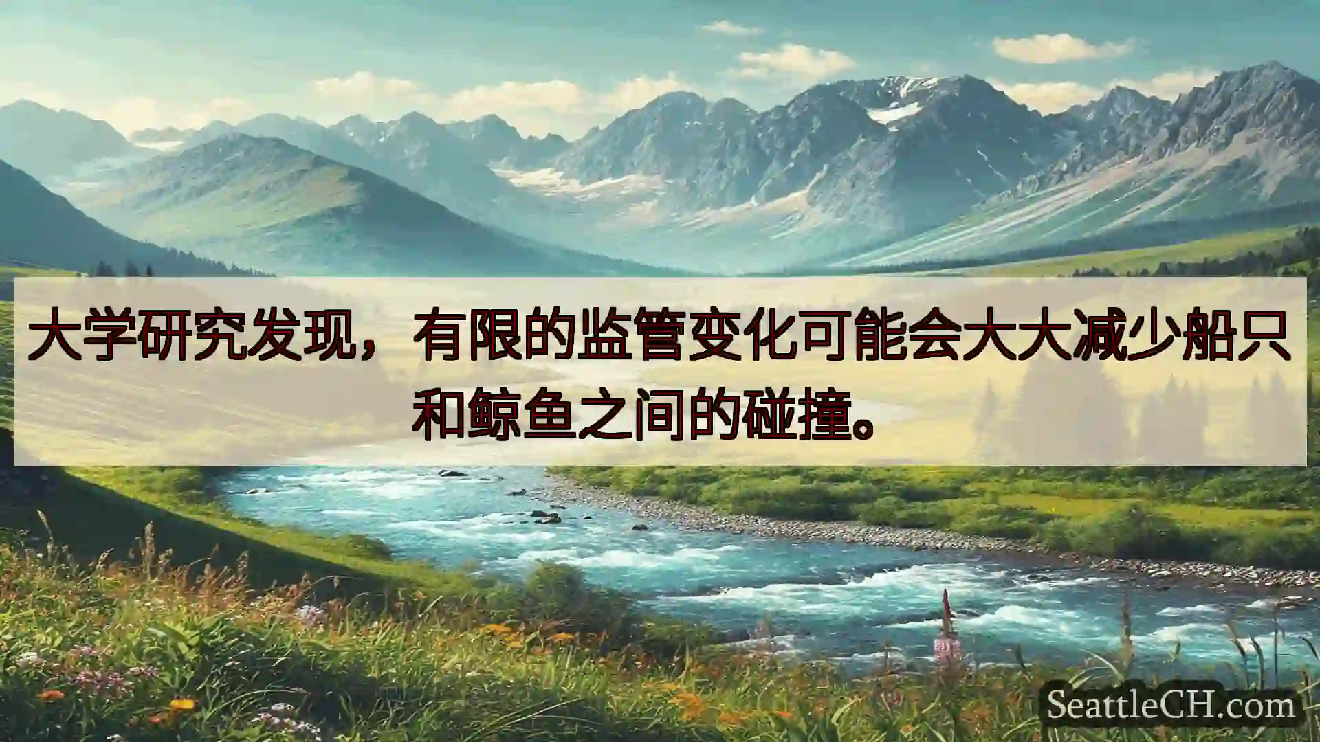 西雅图新闻 大学研究发现，有限的监管变化可能会大大减少船只和鲸鱼之间的碰撞。