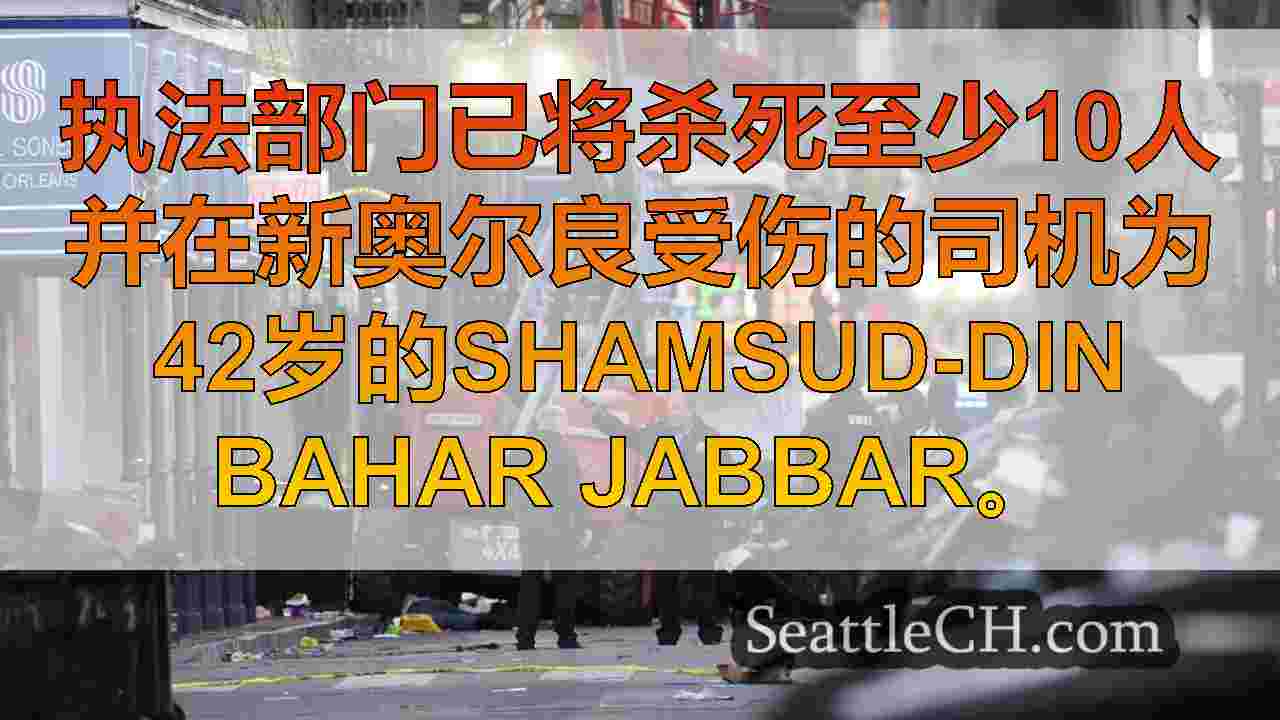 司机公羊在新奥尔良的新年狂欢者，至少杀死10个