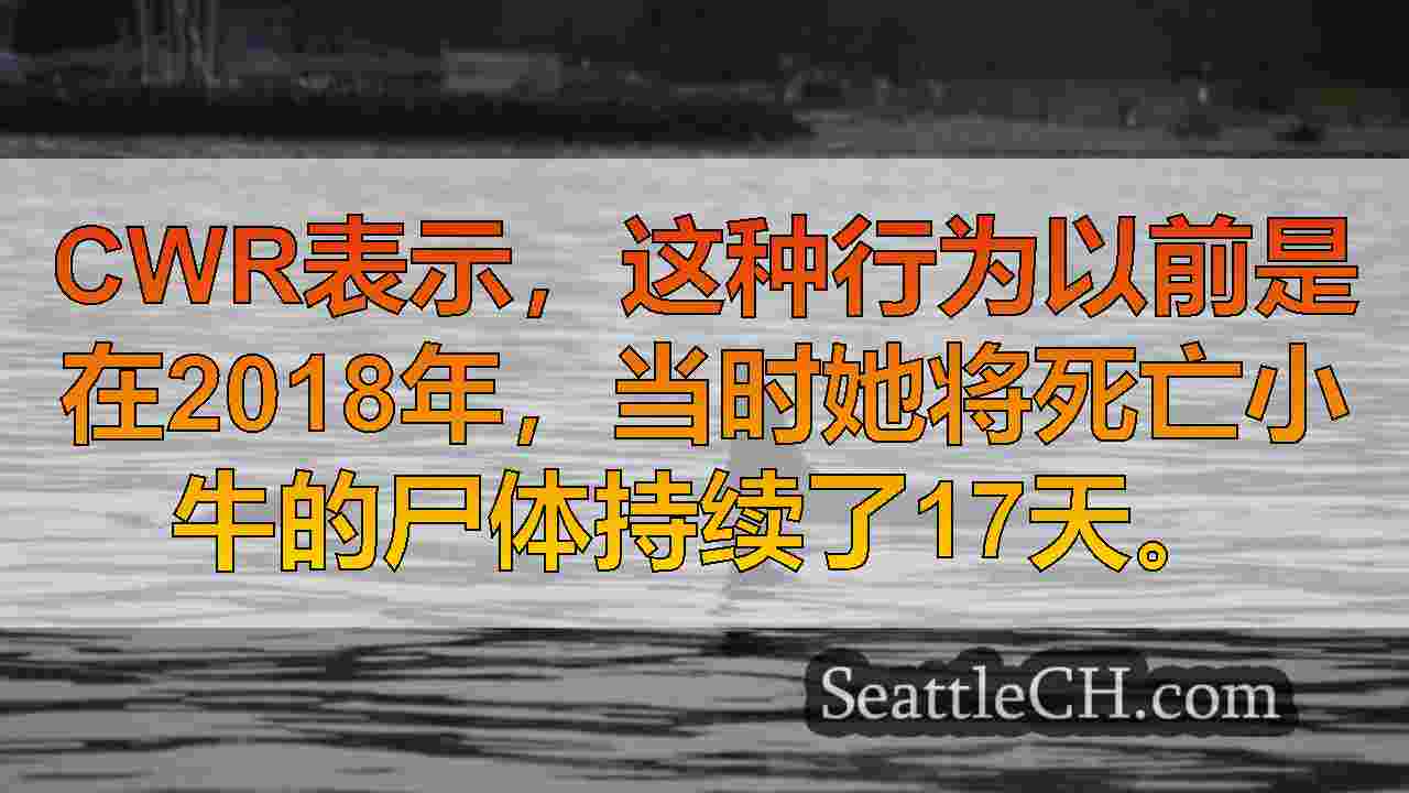 西雅图新闻 SeattleCH