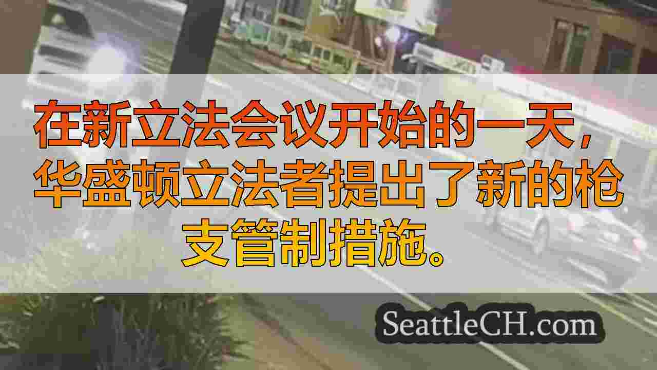 西雅图新闻 SeattleCH