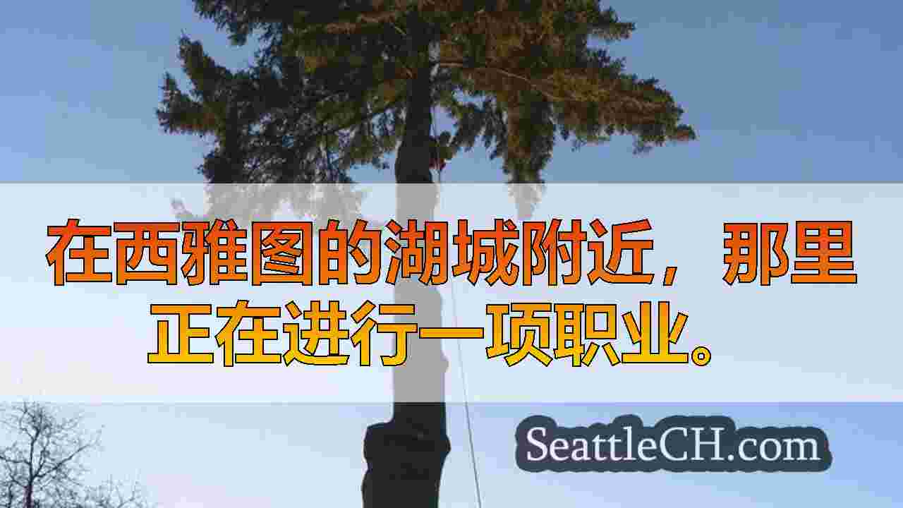 西雅图新闻 SeattleCH
