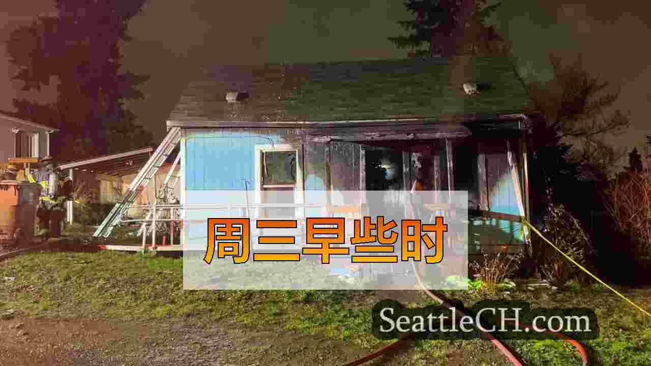塔科马之家杀死狗，送1人去医院