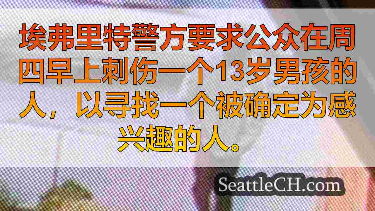 13岁男孩在埃弗里特（Everett