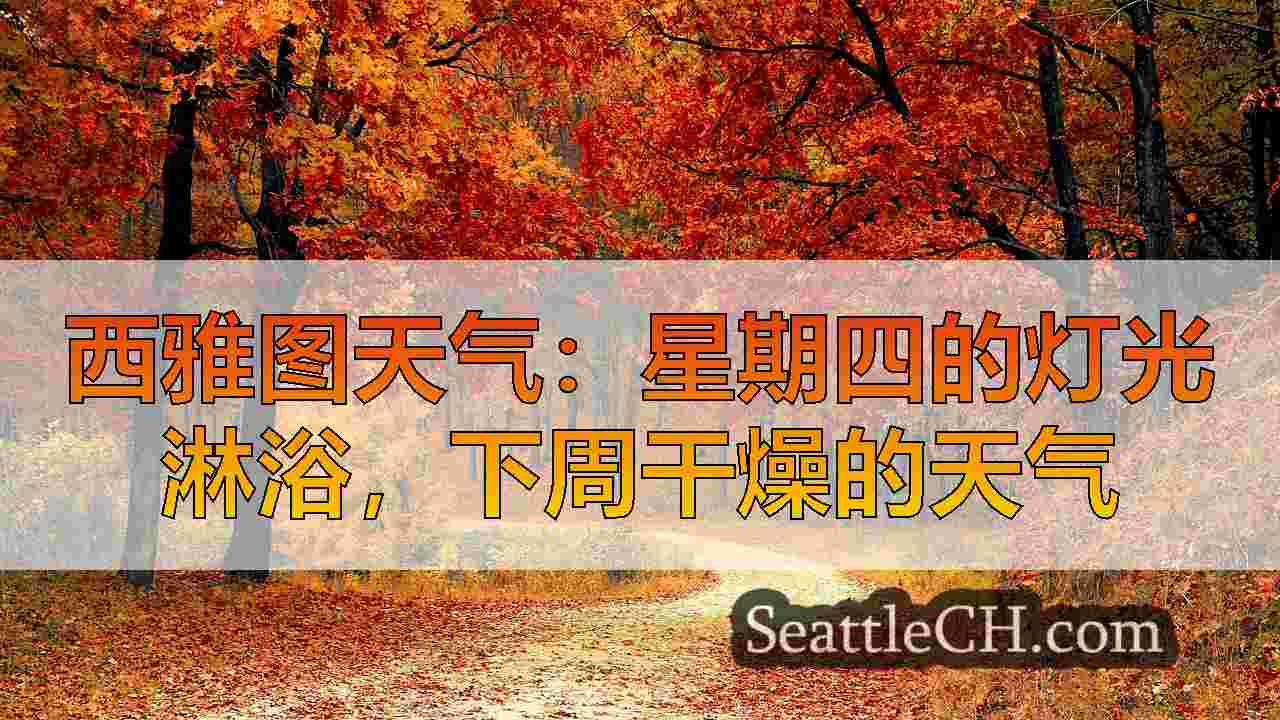 西雅图新闻 SeattleCH