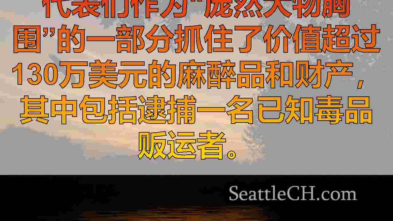西雅图新闻 SeattleCH