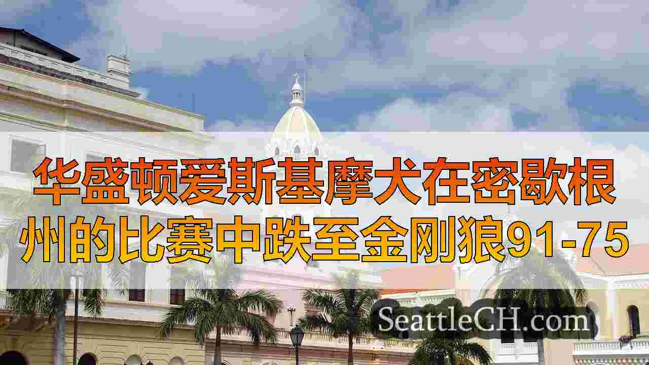 西雅图新闻 SeattleCH