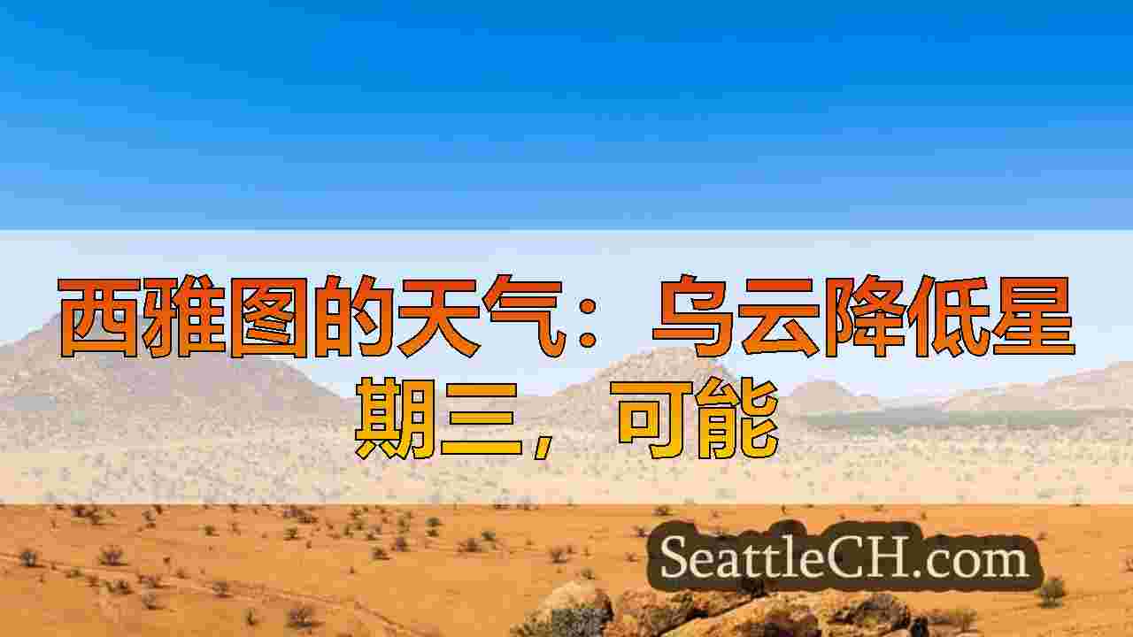西雅图新闻 SeattleCH