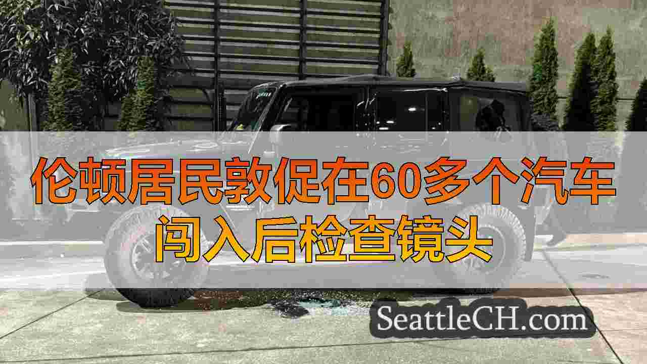 伦顿居民敦促在60多个汽车闯入后检查镜头