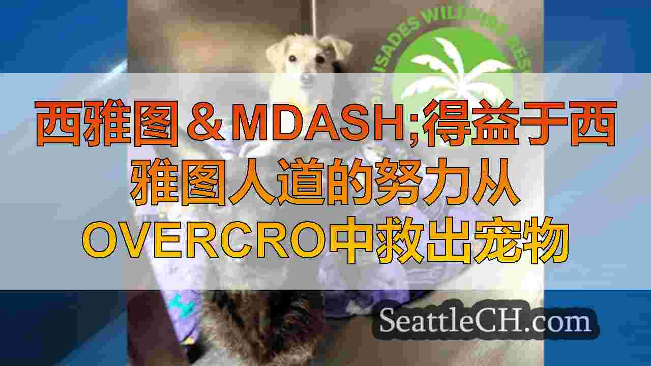 西雅图新闻 SeattleCH
